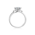 The Eternal Knot