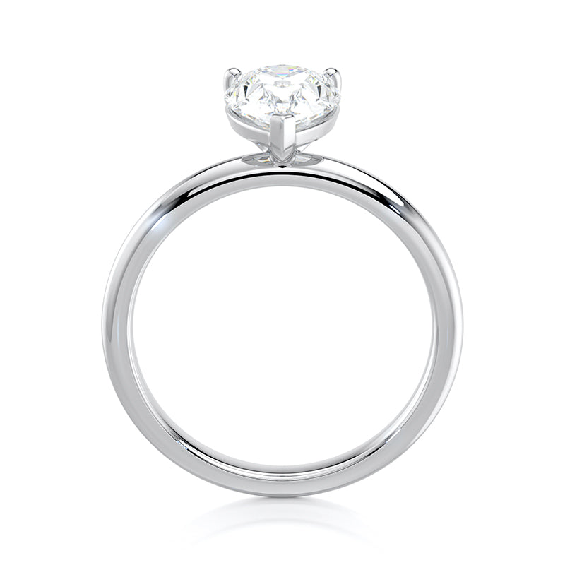 The Pear Prong