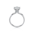 The Crown Halo